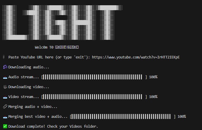 L1ght Video Downloader